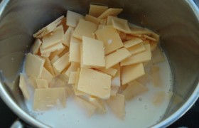 芝士奶酪块如何融化？(芝士如何快速化冻？)